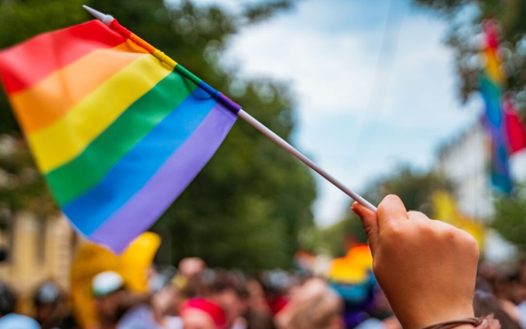 Kvalitetna inkluzivna psihosocijalna podrška za LGBTI osobe u Hercegovačko-neretvanskom kantonu