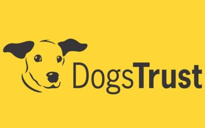 DogsTrust zapošljava!