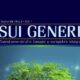 Poziv za dostavljanje radova za deveti broj časopisa Sui generis